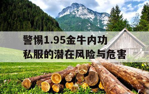 警惕1.95金牛内功私服的潜在风险与危害