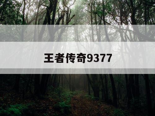 王者传奇9377