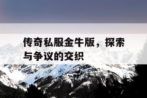传奇私服金牛版，探索与争议的交织