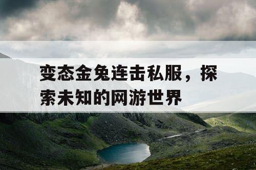 变态金兔连击私服，探索未知的网游世界