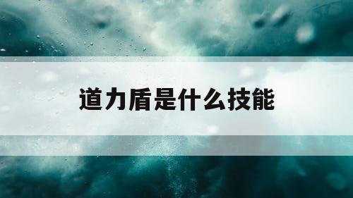 道力盾是什么技能