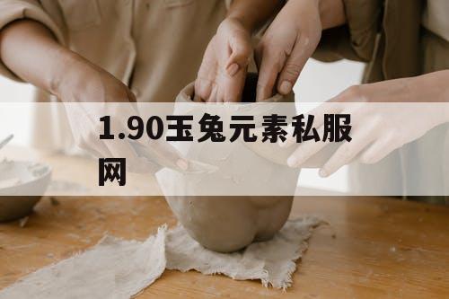 1.90玉兔元素私服网