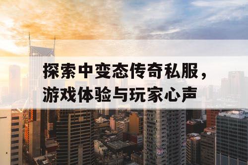 探索中变态传奇私服，游戏体验与玩家心声