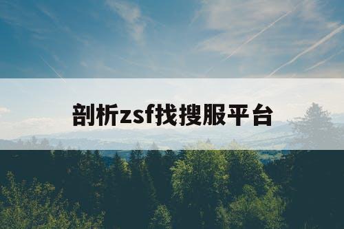 剖析zsf找搜服平台