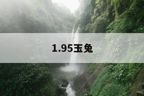 1.95玉兔