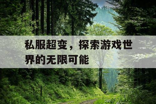 私服超变，探索游戏世界的无限可能
