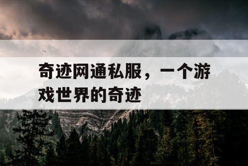 奇迹网通私服，一个游戏世界的奇迹
