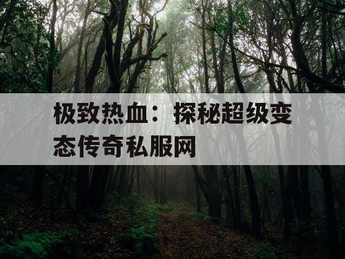 极致热血：探秘超级变态传奇私服网