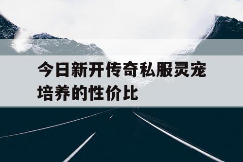 今日新开传奇私服灵宠培养的性价比