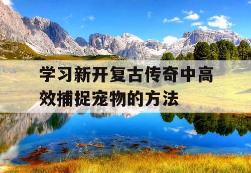 学习新开复古传奇中高效捕捉宠物的方法