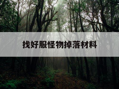找好服怪物掉落材料