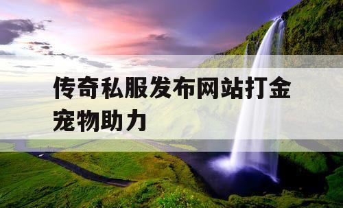 传奇私服发布网站打金宠物助力