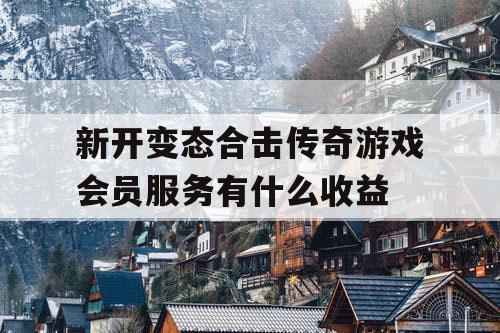 新开变态合击传奇游戏会员服务有什么收益