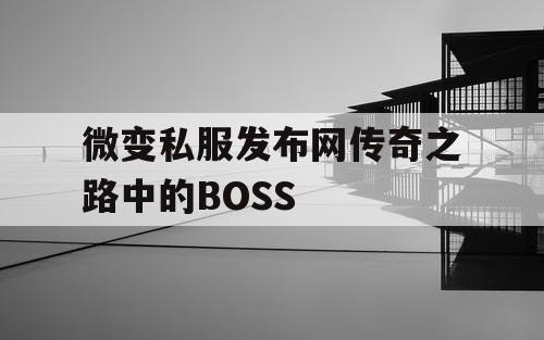 微变私服发布网传奇之路中的BOSS