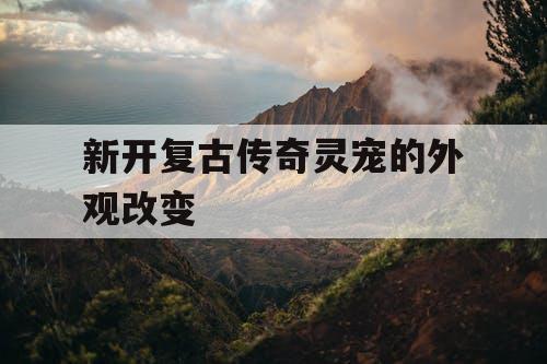 新开复古传奇灵宠的外观改变