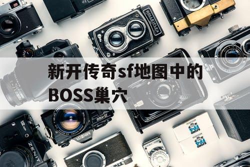 新开传奇sf地图中的BOSS巢穴