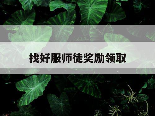 找好服师徒奖励领取