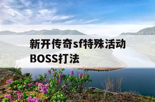 新开传奇sf特殊活动BOSS打法