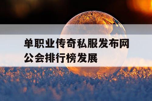 单职业传奇私服发布网公会排行榜发展