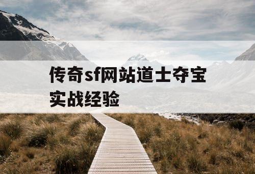 传奇sf网站道士夺宝实战经验