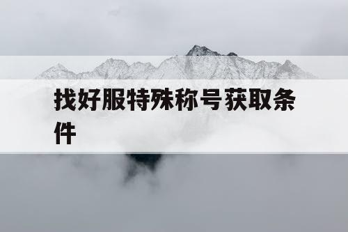 找好服特殊称号获取条件