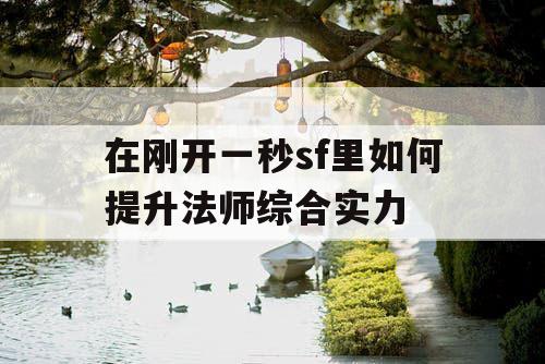 在刚开一秒sf里如何提升法师综合实力