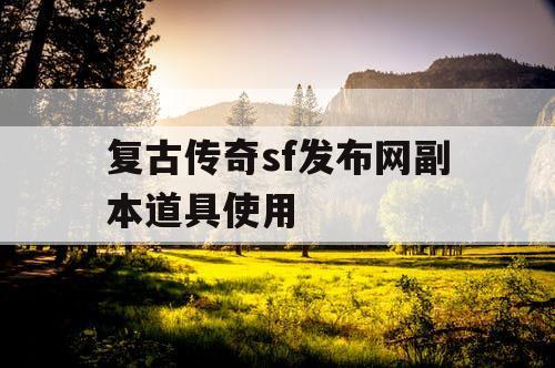复古传奇sf发布网副本道具使用
