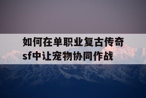 如何在单职业复古传奇sf中让宠物协同作战