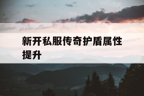 新开私服传奇护盾属性提升